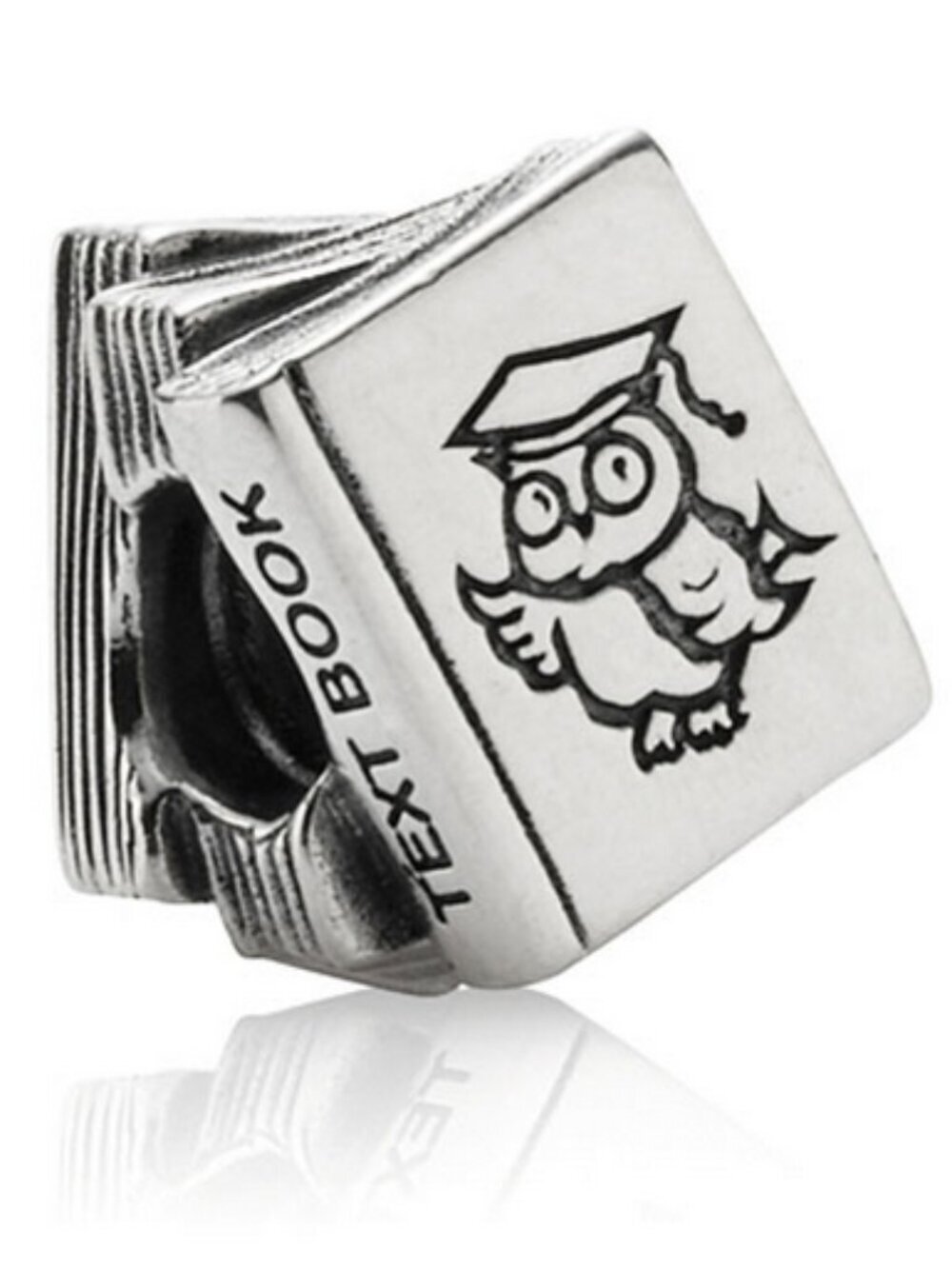 Pandora Retired Sterling Silver Education Study Books Bead with Owl - 790536